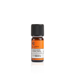 Rosemary Camphor Essential Oil 10ml