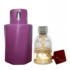 Doric Purple Diffuser Gift Set