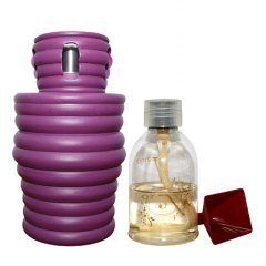 Lonic Purple Diffuser Gift Set